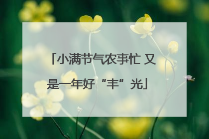 小满节气农事忙 又是一年好“丰”光