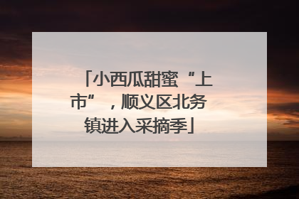 小西瓜甜蜜“上市”，顺义区北务镇进入采摘季
