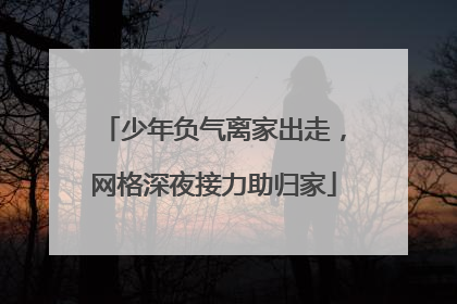 少年负气离家出走，网格深夜接力助归家
