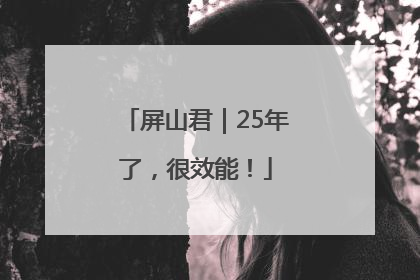 屏山君｜25年了，很效能！