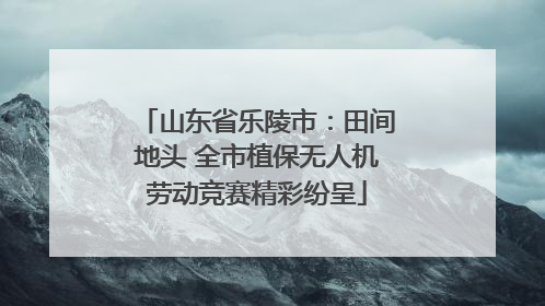 山东省乐陵市：田间地头 全市植保无人机劳动竞赛精彩纷呈