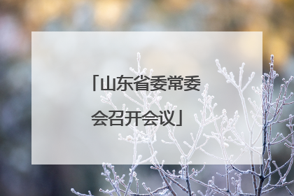 山东省委常委会召开会议