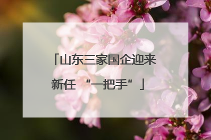 山东三家国企迎来新任 “一把手”