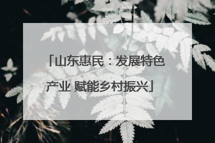 山东惠民：发展特色产业 赋能乡村振兴