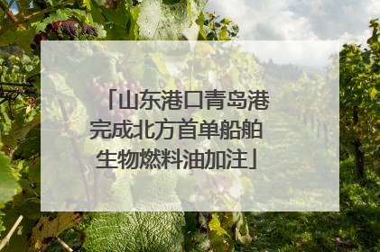 山东港口青岛港完成北方首单船舶生物燃料油加注
