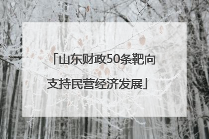 山东财政50条靶向支持民营经济发展