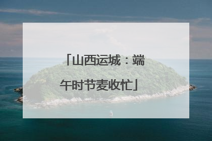 山西运城：端午时节麦收忙