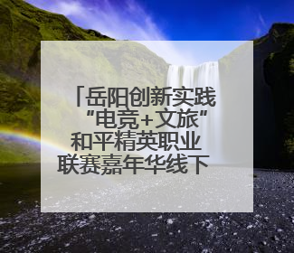 岳阳创新实践“电竞+文旅” 和平精英职业联赛嘉年华线下引流