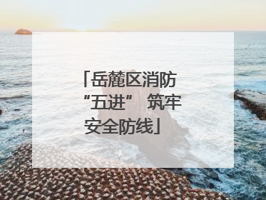 岳麓区消防 “五进” 筑牢安全防线