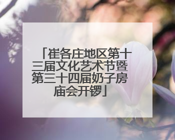 崔各庄地区第十三届文化艺术节暨第三十四届奶子房庙会开锣