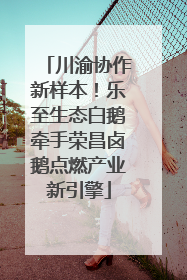川渝协作新样本！乐至生态白鹅牵手荣昌卤鹅点燃产业新引擎