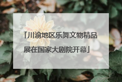 川渝地区乐舞文物精品展在国家大剧院开幕