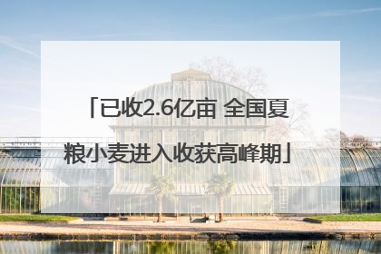 已收2.6亿亩 全国夏粮小麦进入收获高峰期
