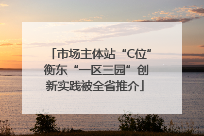 市场主体站“C位” 衡东“一区三园”创新实践被全省推介