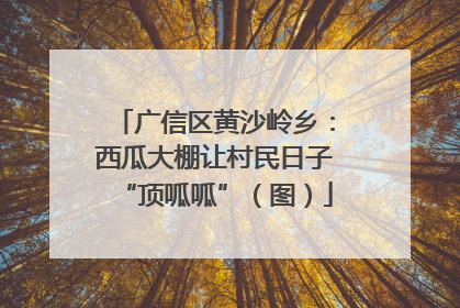 广信区黄沙岭乡：西瓜大棚让村民日子“顶呱呱”（图）