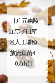 广元嘉陵江亭子口库区人工增殖放流鱼苗40万尾
