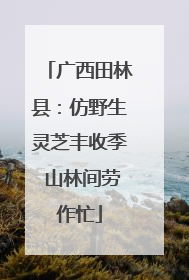 广西田林县：仿野生灵芝丰收季 山林间劳作忙