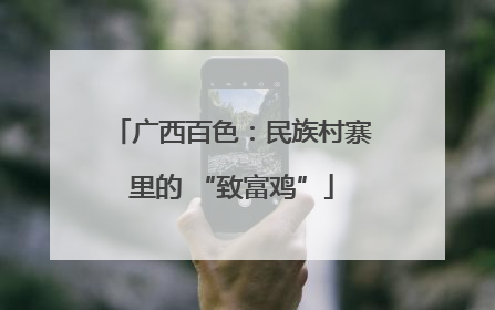 广西百色：民族村寨里的 “致富鸡”