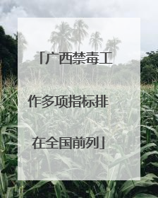 广西禁毒工作多项指标排在全国前列