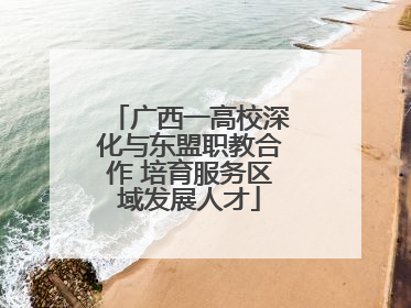 广西一高校深化与东盟职教合作 培育服务区域发展人才