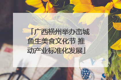 广西横州举办峦城鱼生美食文化节 推动产业标准化发展