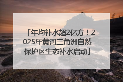 年均补水超2亿方！2025年黄河三角洲自然保护区生态补水启动
