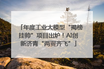 年度工业大模型“揭榜挂帅”项目出炉！AI创新济青“两翼齐飞”