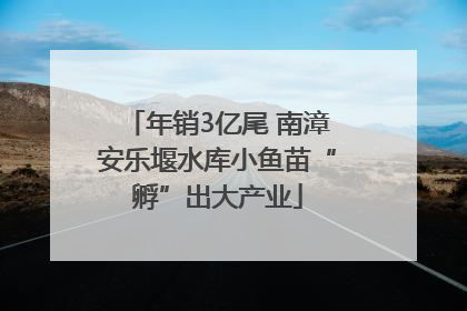 年销3亿尾 南漳安乐堰水库小鱼苗“孵”出大产业