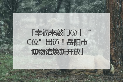 幸福来敲门⑤丨“C位”出道！岳阳市博物馆焕新开放