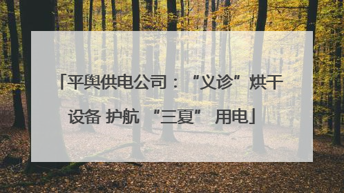 平舆供电公司：“义诊”烘干设备 护航 “三夏” 用电