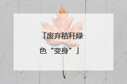 废弃秸秆绿色“变身”