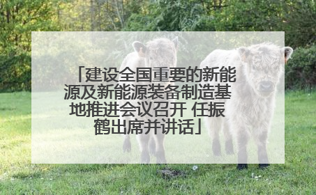 建设全国重要的新能源及新能源装备制造基地推进会议召开 任振鹤出席并讲话