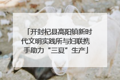 开封杞县高阳镇新时代文明实践所与妇联携手助力“三夏”生产