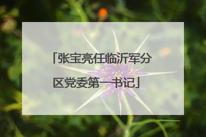 张宝亮任临沂军分区党委第一书记