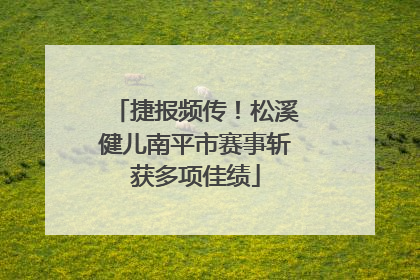 捷报频传！松溪健儿南平市赛事斩获多项佳绩
