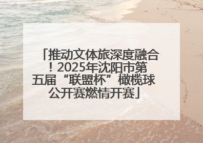 推动文体旅深度融合！2025年沈阳市第五届“联盟杯”橄榄球公开赛燃情开赛