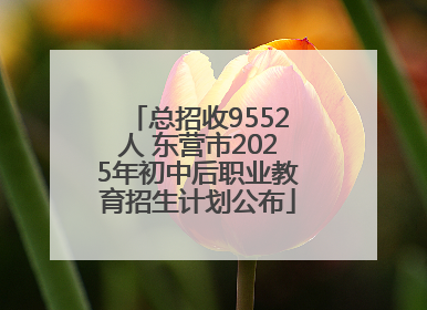 总招收9552人 东营市2025年初中后职业教育招生计划公布