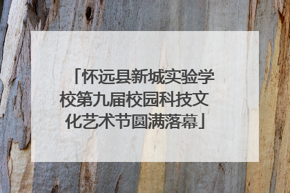 怀远县新城实验学校第九届校园科技文化艺术节圆满落幕