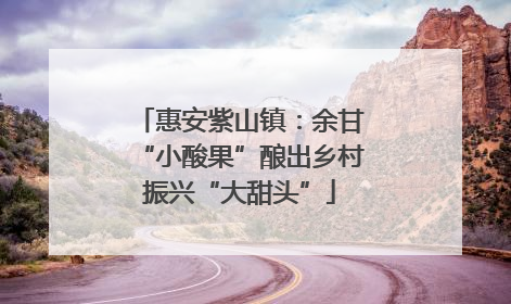 惠安紫山镇：余甘“小酸果”酿出乡村振兴“大甜头”