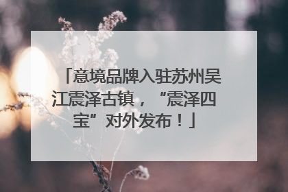 意境品牌入驻苏州吴江震泽古镇，“震泽四宝”对外发布！