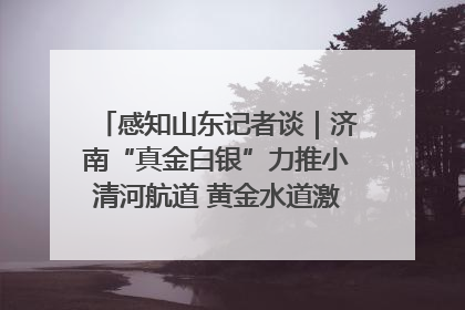 感知山东记者谈｜济南“真金白银”力推小清河航道 黄金水道激活区域经济新动能