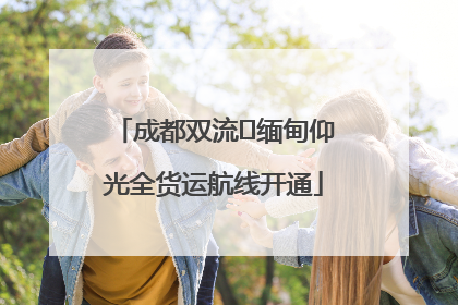 成都双流⇌缅甸仰光全货运航线开通