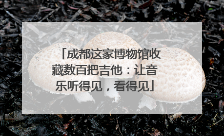 成都这家博物馆收藏数百把吉他：让音乐听得见，看得见