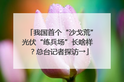 我国首个“沙戈荒”光伏“练兵场”长啥样？总台记者探访→