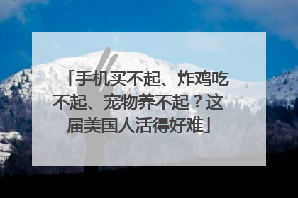 手机买不起、炸鸡吃不起、宠物养不起？这届美国人活得好难