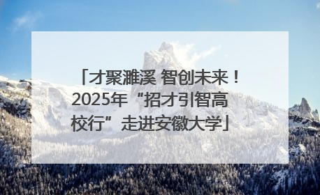 才聚濉溪 智创未来！2025年“招才引智高校行”走进安徽大学