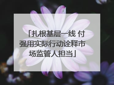 扎根基层一线 付强用实际行动诠释市场监管人担当