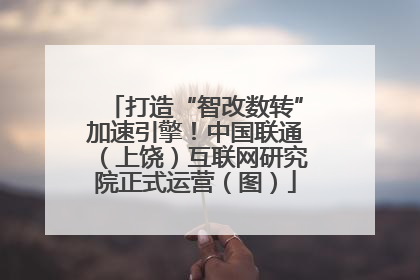 打造“智改数转”加速引擎!中国联通(上饶)互联网研究院正式运营(图)