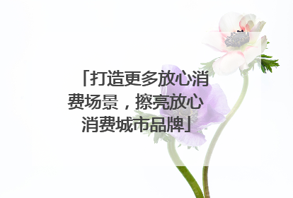 打造更多放心消费场景，擦亮放心消费城市品牌