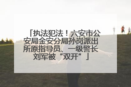 执法犯法！六安市公安局金安分局孙岗派出所原指导员、一级警长刘军被“双开”